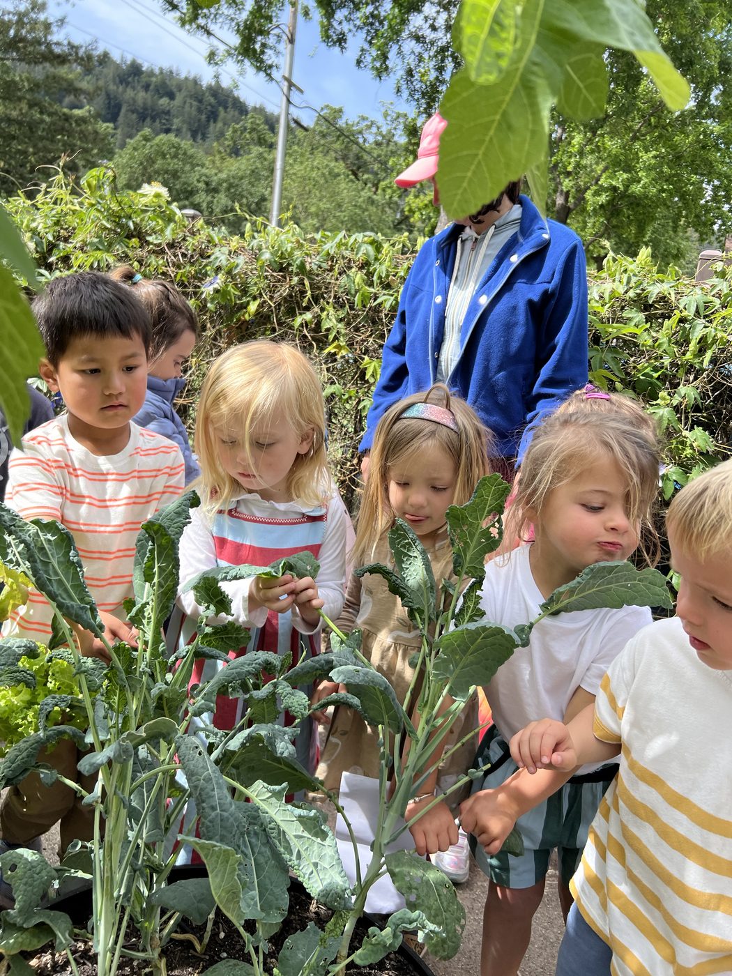 Group of children exploring the garden together